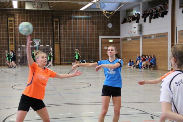 2017_01_08 Landesliga Frauen u. J19